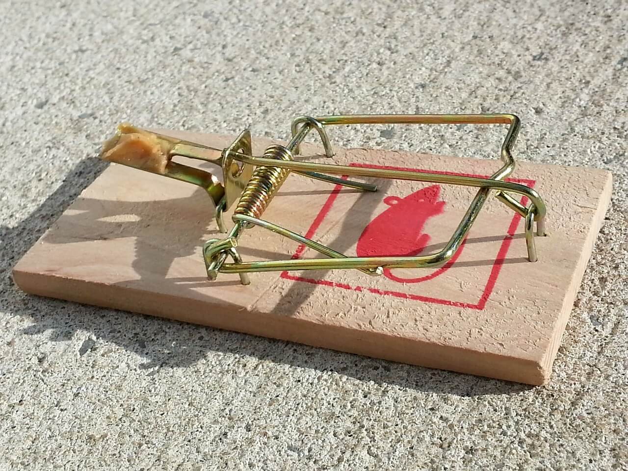 How Does A Mouse Trap Work